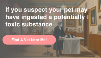 An illustrative banner depicting an anthropomorphic cat in a vet's office, alongside a call-to-action message that reads: 'If you suspect your pet may have ingested a potentially toxic substance,' accompanied by a prominent button stating 'Find A Vet Near Me!